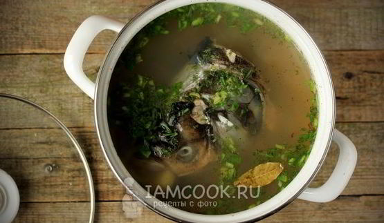 уха из головы толстолобика