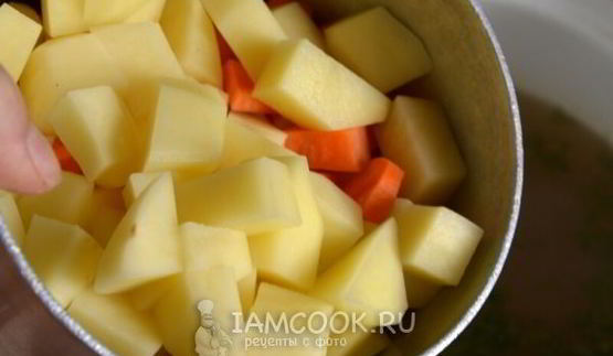 уха из сазана