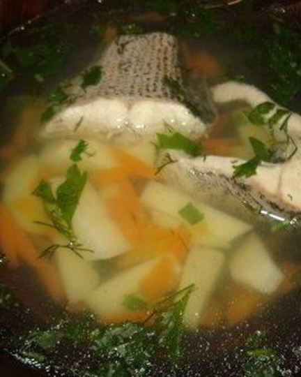 Рецепт ухи из щуки и филе сома