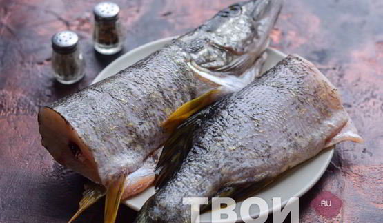 уха из щуки