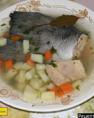 Уха из семги по-русски