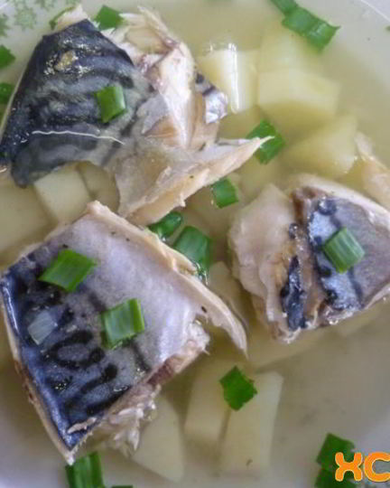 Рецепт ухи из скумбрии