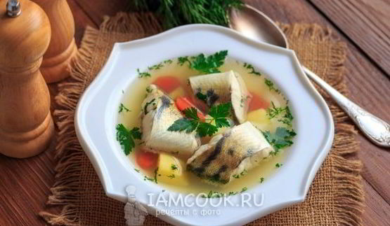 уха из судака по-домашнему