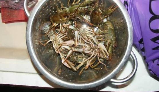 уха с раками и икрой