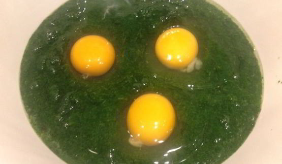 шпинатные блинчики