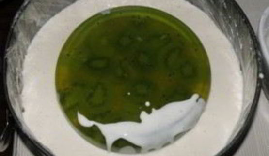 чизкейк с киви без выпечки