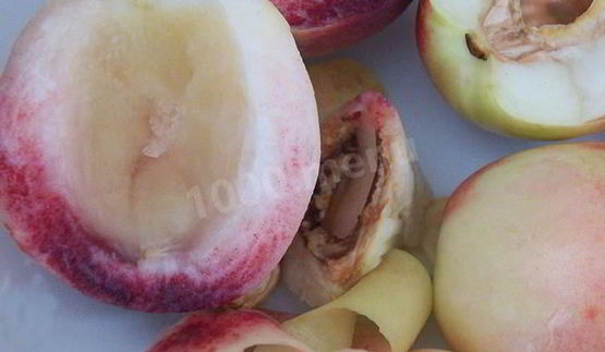 чизкейк сплошное наслажденье