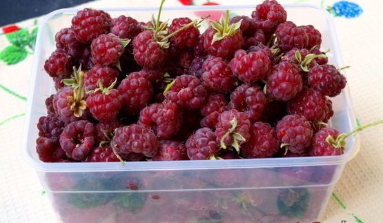 мраморный пряный кекс на сыворотке с малиной