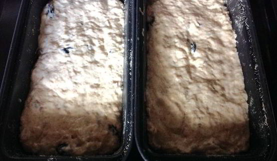 хлеб без замеса с изюмом и семечками