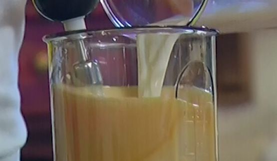 хворост-гнезда