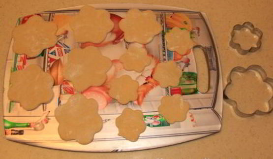 хворост зимние цветы