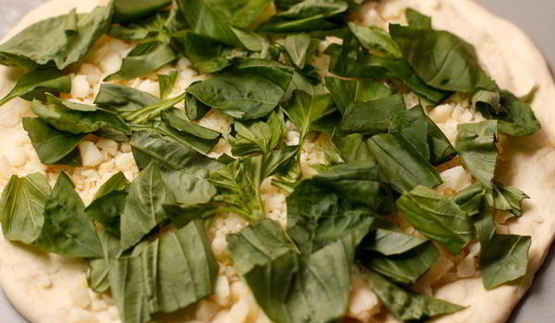 фокачча с сыром и базиликом