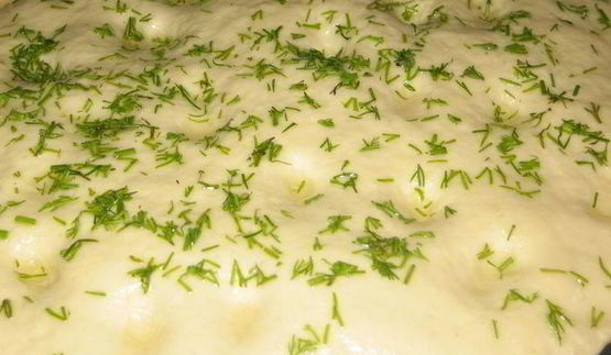 кабачково-луковая фокачча и не только