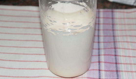 манник обыкновенный