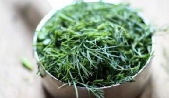 оладьи из цуккини