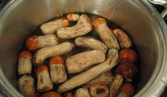 открытые слойки с подосиновиками