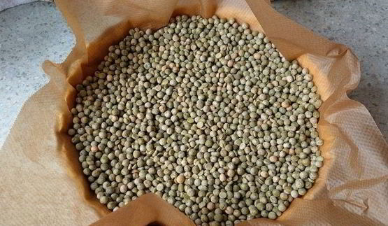 киш с тыквой и сыром рокфор