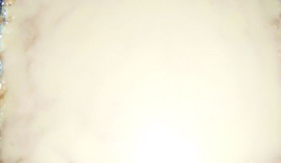 овсяные пирожные с шоколадом и орехами