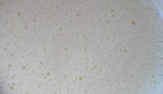 пирожное экзотика