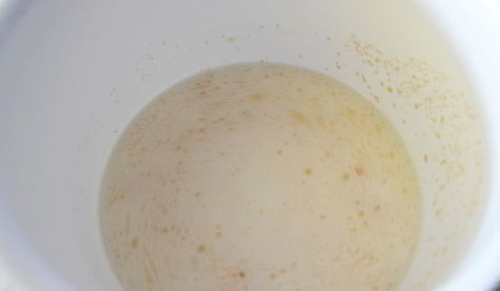 пицца на дрожжевом тесте