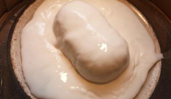 имбирная коврижка на меду