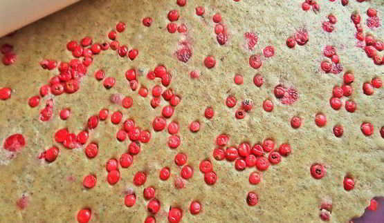 пряники с брусникой на цельнозерновой муке