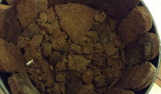 шарлотка из имбирных пряников