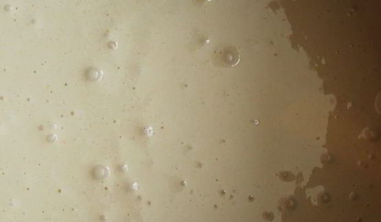 шарлотка с черной смородиной из мультиварки