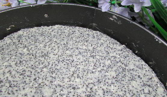 немецкий маковый творожник