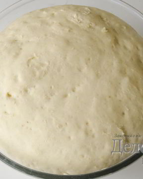 Дрожжевое сдобное тесто для пиццы