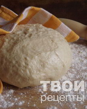 Дрожжевое тесто для пирожков