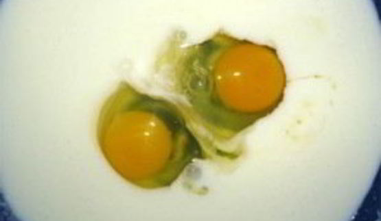 пирожковое тесто за 5 минут