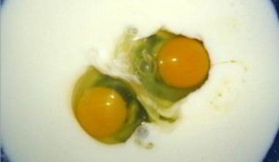 тесто для пирожков на кефире