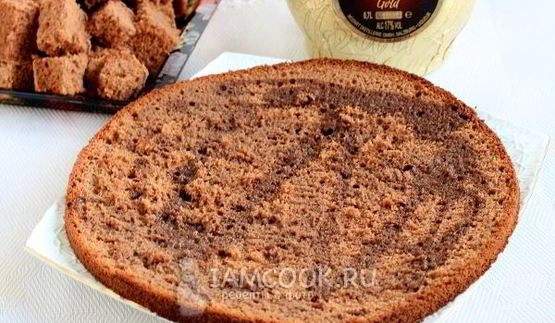 бисквитный торт панчо со сливочным кремом и ягодами