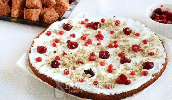 бисквитный торт панчо со сливочным кремом и ягодами