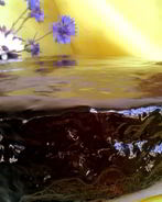 Торт Прага классический