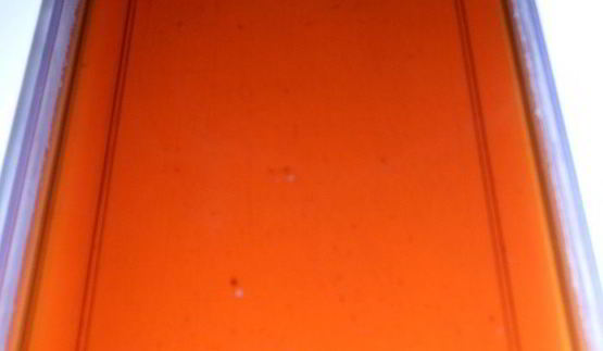 мини-торт из мокко-профитролей со сливочным кремом, кофейным муссом и белым шоколадом