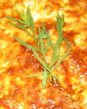 Запеканка по-грузински