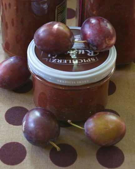 Рецепт аджики из слив