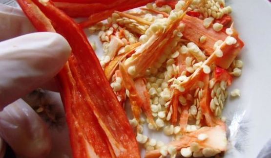 сухая аджика