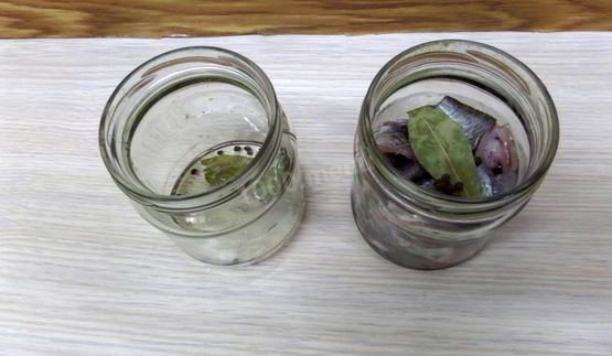 домашнее консервирование рыбы на зиму