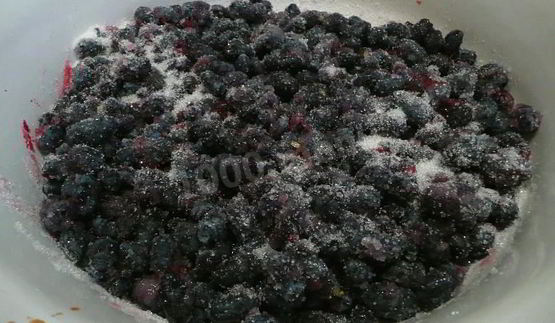 джем из жимолости