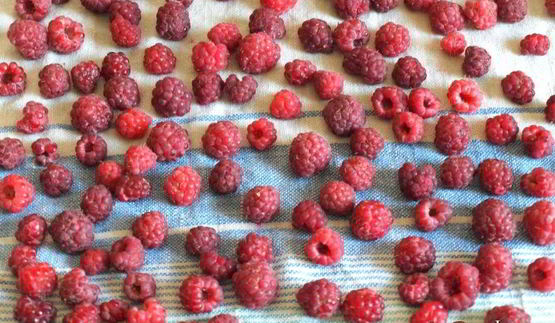 малиновый джем без варки