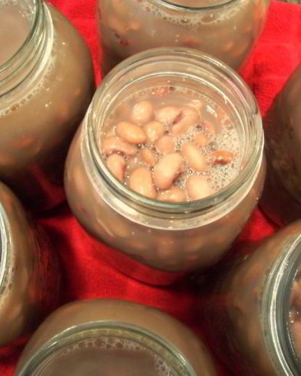 Рецепт фасоли на зиму