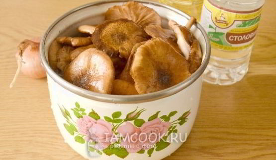 икра из опят на зиму