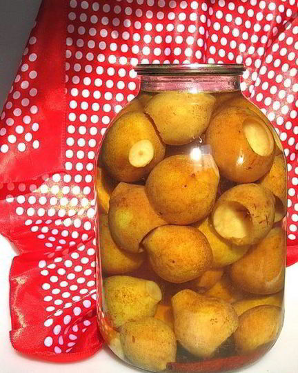 Рецепт грушевого компота с корицей