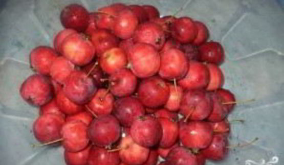 компот из ранеток на зиму