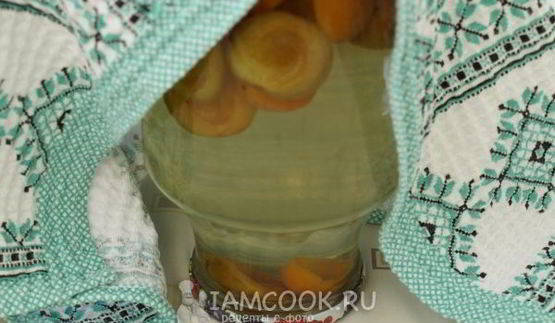 компот из сливы и абрикоса на зиму