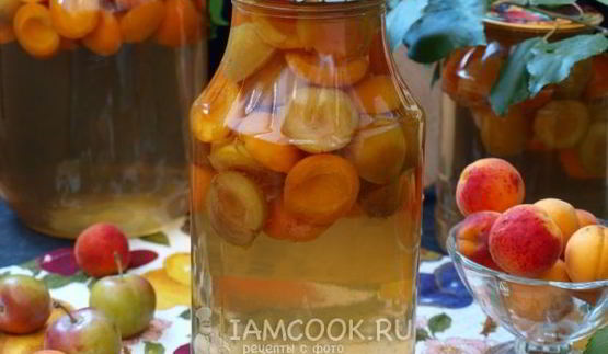 компот из сливы и абрикоса на зиму