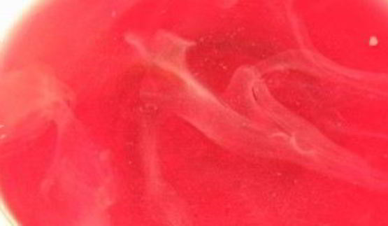 компот из вишни с косточками на зиму